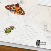 Schreibtischunterlage Insekten – mit ausmalbaren Pflanzenzeichnungen, handgemalt für Kinder