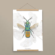 Insektenposter Goldwespe mit Posterleiste aus Eichenholz, handgemalt auf Naturpapier