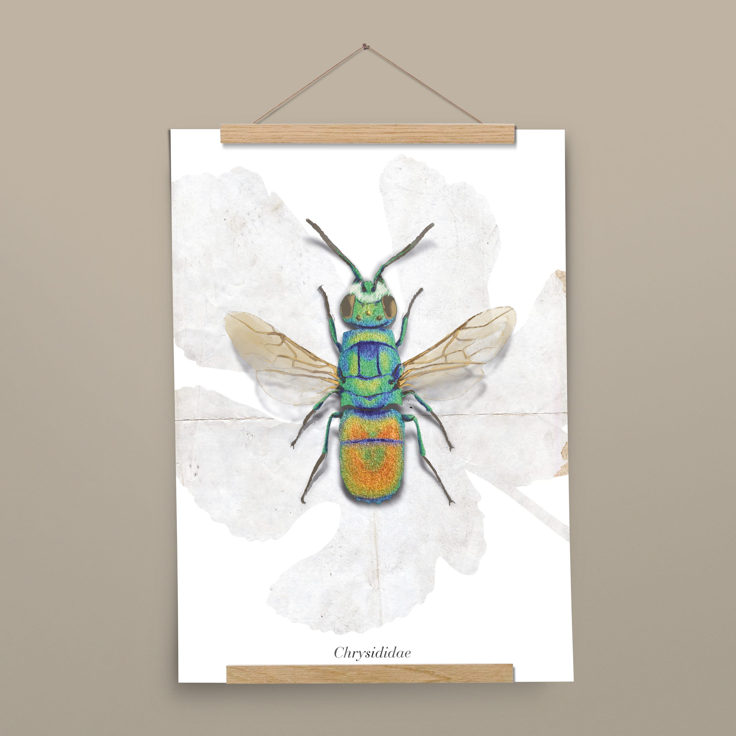 Insektenposter Goldwespe mit Posterleiste aus Eichenholz, handgemalt auf Naturpapier