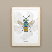 Insektenposter Goldwespe im Holzrahmen, handgemaltes Wandbild fürs Kinderzimmer