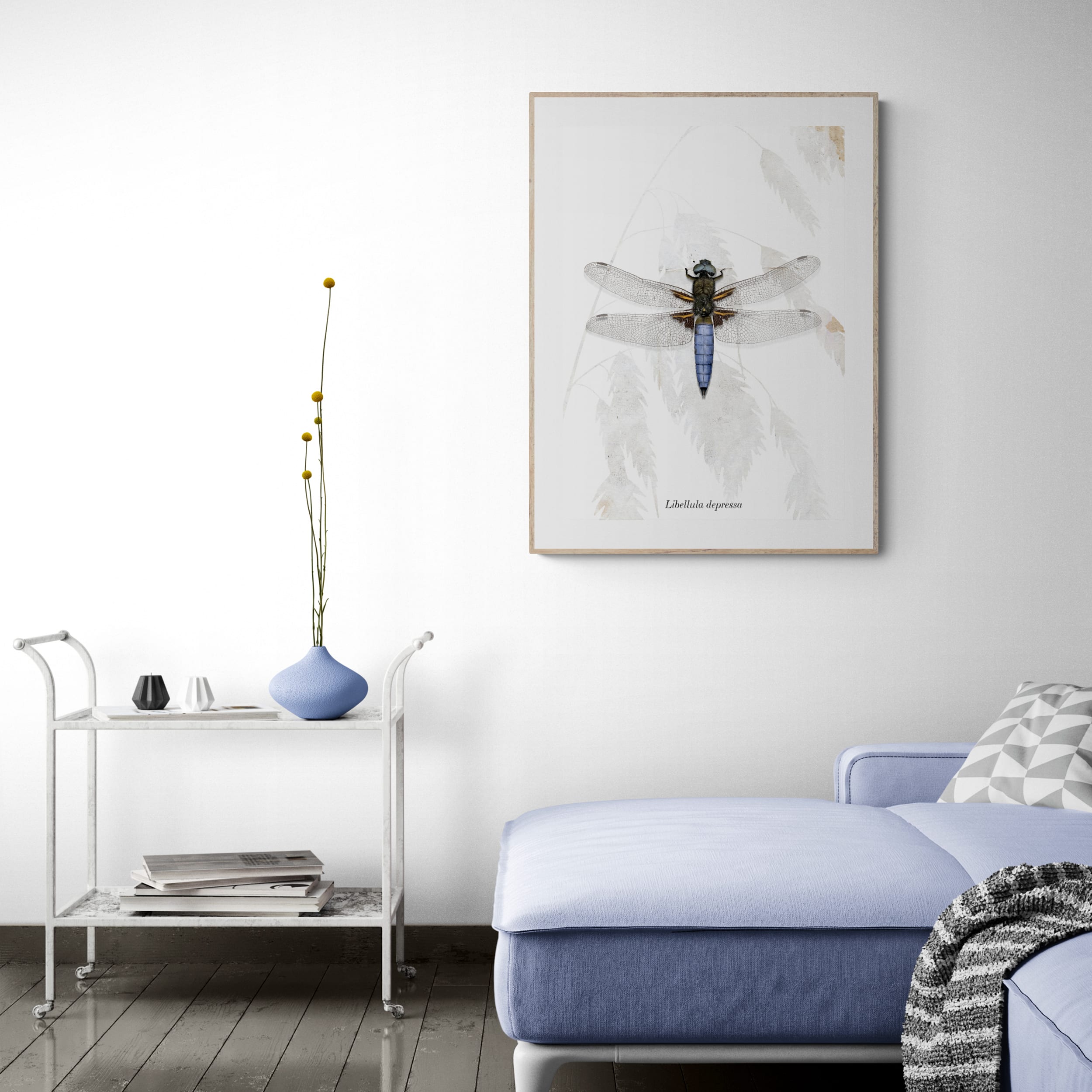 Insektenposter Plattbauch-Libelle – Wanddeko fürs Kinderzimmer, handgemalt