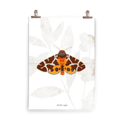 Insektenposter Brauner Bär – Nachtfalter Arctia caja mit gemustertem Flügel, handgemalt
