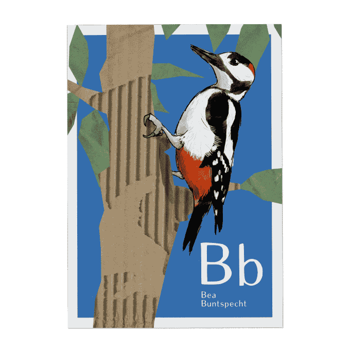 Will & Ruby - ABC Karte - B wie Bea Buntspecht