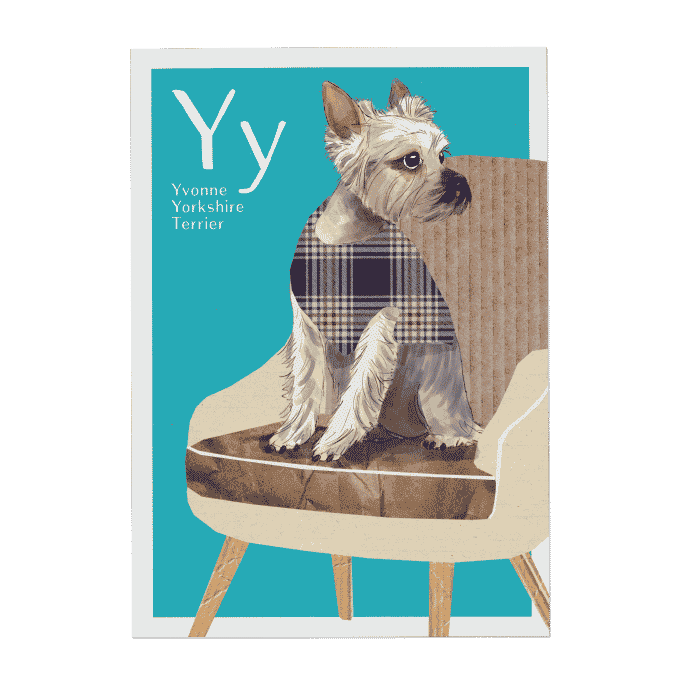 Will & Ruby - ABC Karte - Y wie Yvonne Yorkshire Terrier
